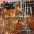 Used Chicken House Cages Chicken For Sale